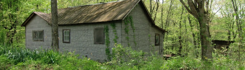 The Shack